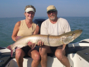 478299df-f181-4e36-a4ca-90ea31035203