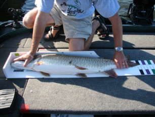 480621a0-6208-4580-b665-634454d77758