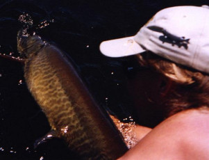 4813dc83-5903-4839-83f6-ccafaa793728