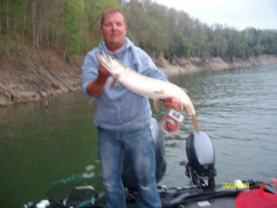 SANYO DIGITAL CAMERA