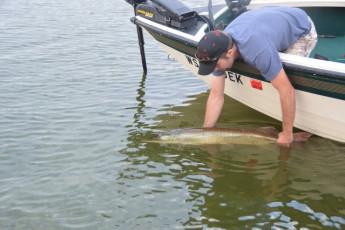 484B036A-9EAA-4CBE-ADCB-C75C59F215E5