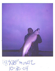 48635764-da7a-4c21-b629-abcd6aa2adda