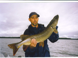 4873c80c-6cf2-4a68-916a-1473c817e4e7