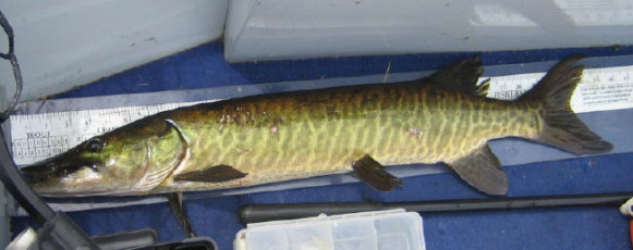 48BB103D-B2AA-4A80-9B8B-8999C88ACBAE