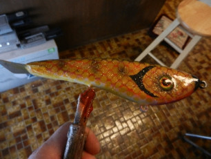 48F1634C-79D4-44BE-BD1C-CF9DDC8BF413