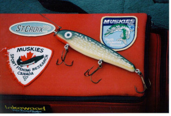 48e3193a-98cb-49ce-a40c-5f3cbf1c0c3b