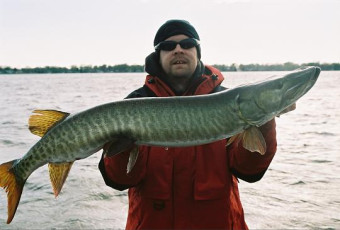 491a2b16-c3d5-4ffa-985d-07222664d5be