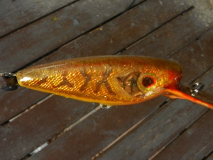 49972494-9872-45C1-BEBA-DD4FF67E183A