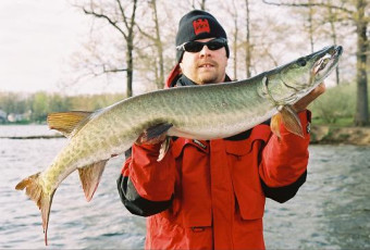 499dd4ba-9a8b-496c-86d1-a17de45b4e52