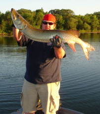 49ac3f4f-7f6e-4ca1-9bde-f77fef7a61d7