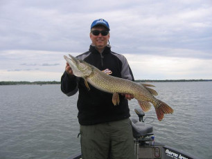 4A26C287-35D1-4CA2-BA8D-05EA6FC0E051