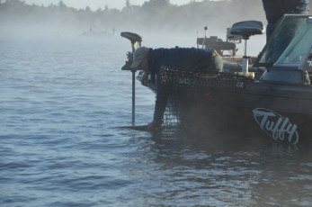 4A8257A1-E340-449C-8665-4A3A03FE90B1