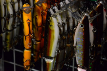 4AE03EB2-7248-438C-879D-3EDE02D2F263