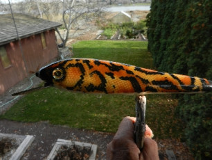 4AF40363-1C5E-4CCD-938E-2657FFB33EA4