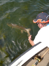 4B332E57-D79A-4E32-82CB-A782849B8618