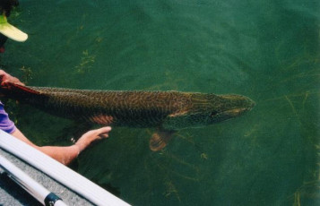 4B51BB7F-9EC8-407B-98C6-3C90A564EF88