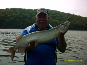 4B9A8DA2-335F-45F3-8BB4-9D52AF8A1A60