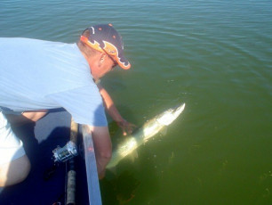 4C84FD44-4C30-464F-BD41-639894F7D411