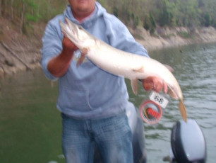 4D92C208-B397-4A34-BF0B-459C887F7314