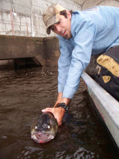 4DC3C962-7906-4326-9D82-43B8F099575D