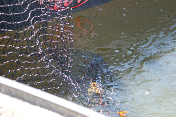 4DE29851-CC13-463A-9615-9F64EF34406C