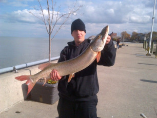 4E82762E-7239-47D8-868D-D1B13BCC84D3