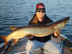 4F115361-91A6-489C-8721-D7FA30F0952A