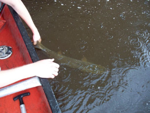 4FCD1068-8787-483B-B206-0435EB5298B9