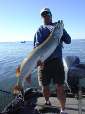 4a2cda99-8121-4252-9e08-5b3f8ea3994d