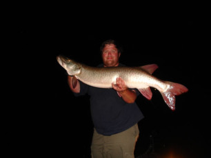 4ad9a372-17e4-4f7b-ae42-e9cc3b118071