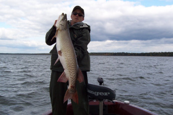 4c3dcdf1-4cbd-48f2-b61b-c1479c7f4af7