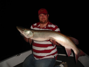 4c576535-2a01-46a2-adc4-fac3f2b86546