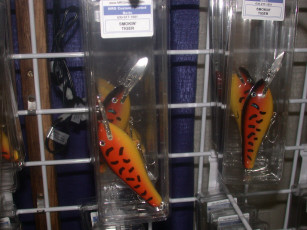 4cfbc608-5029-4de3-bd63-edb0e15c25ff