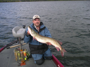 4d5416f6-e4d7-4f53-addf-bf26c539be26