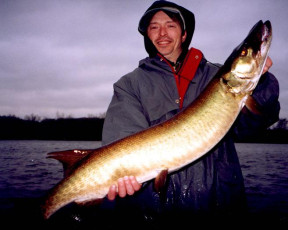 4dc8fbd3-8022-4bc1-848b-0ec0b975f4f3