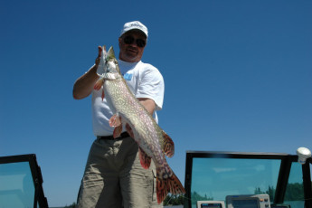 4f896e60-e675-4452-a606-cbe3badc7592