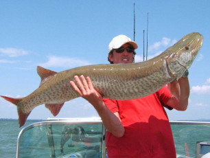 4fd327e5-1740-487c-a670-5520e4858147