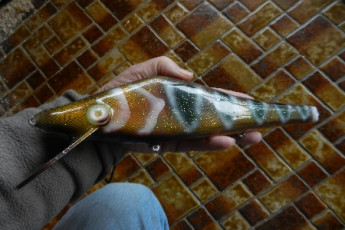 500A379A-971B-489A-BCBB-2D5AEB49DA7C