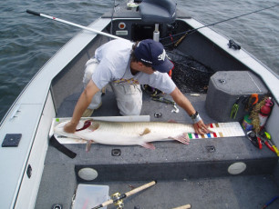 50197db2-5851-4ef9-966d-23a98f448c35