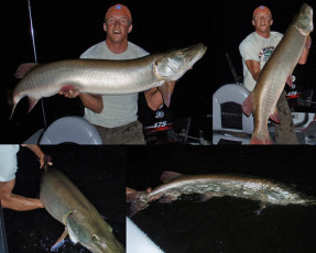 5026AB3F-95E2-4476-8320-5D7137D3215C