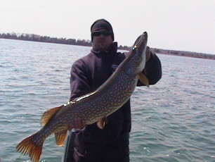 503f729b-abe9-44db-9a6b-bc82a4a06359