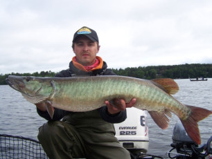 50488B88-15DB-4128-93F9-3A0DDE4ECA52