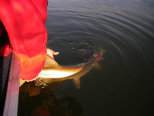 5063FE2A-AA22-4F68-B6D1-DC4AD008E316