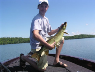 507787a2-0ece-408b-9560-b84a8553012c