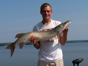 5080E9DB-1F0B-4C5D-8423-686A20E6540C