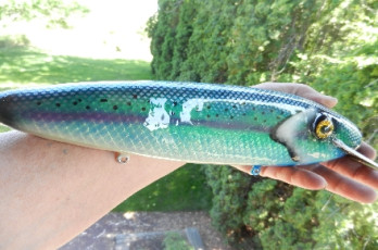 5087C244-79D3-4C2B-850C-271EE61587DB