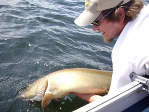 508D885E-43B4-40A1-AD7B-B219D4537A82