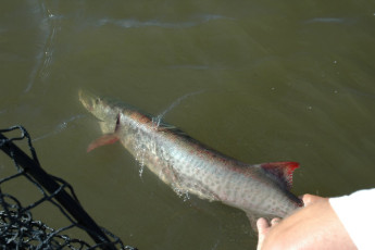 50922309-e332-44dc-b8d0-08b8bc7e96fe