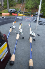 509C64A0-99D8-40BF-B1CE-171E988659E6