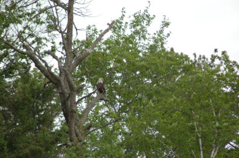 50B8131C-A6B9-49A5-A73F-E1EB91D0BE62